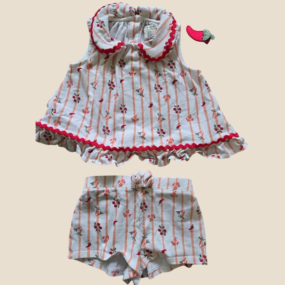 Max Studio Kids Girls 2 Piece Set Stripe Vegetable Print Top Shorts Hair Clip 3T